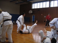 Picture 10
