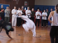 Capoeira 1
