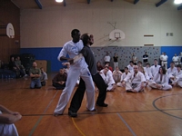 Capoeira 3